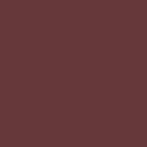 fenix rosso jaipur