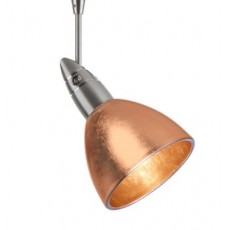 Divi Spot Light